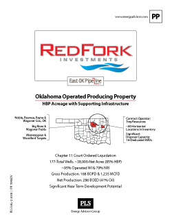 OKLAHOMA CHAPTER 11 SALE - Energy Advisors Group OKLAHOMA CHAPTER 11 SALE
