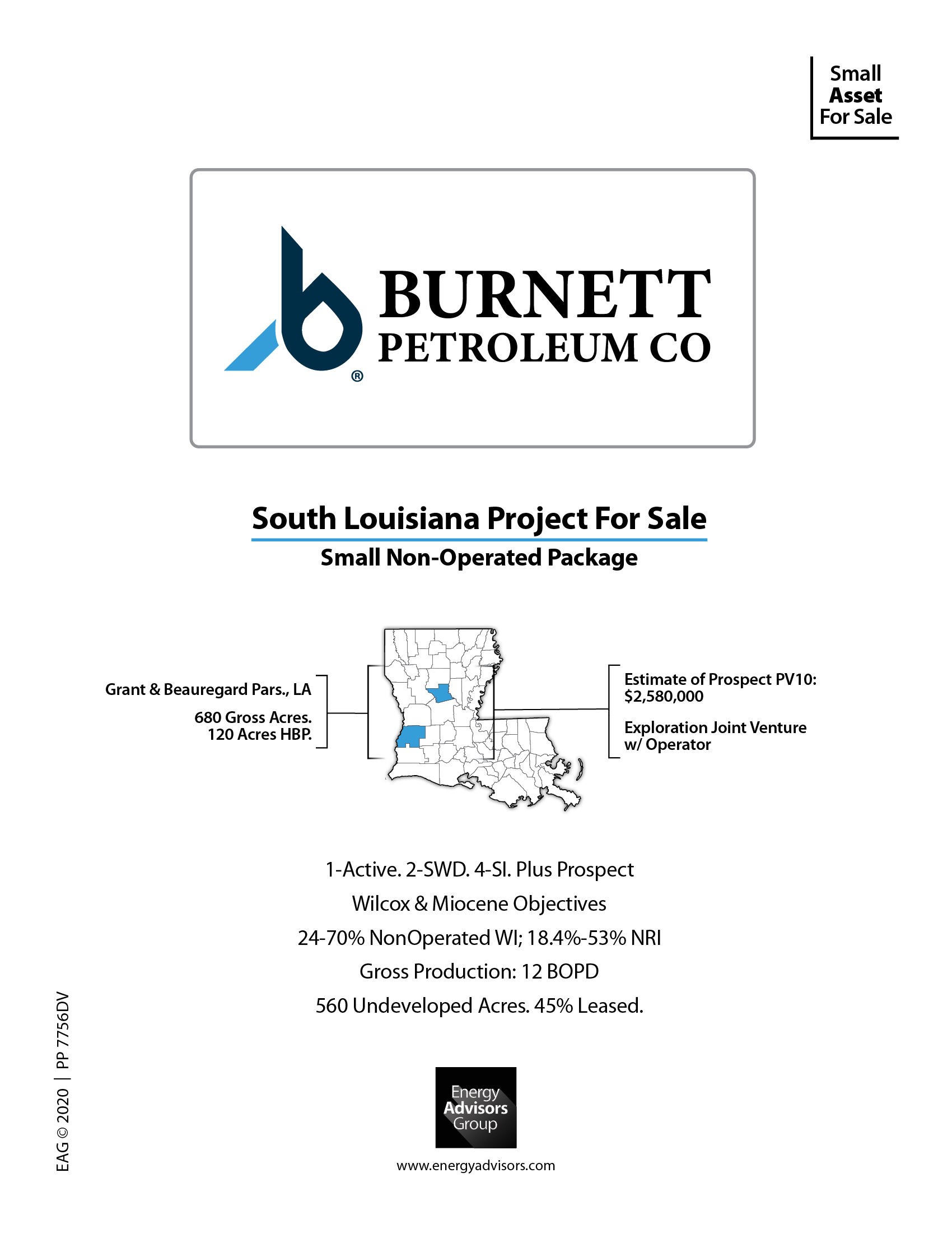 SOUTH LOUISIANA PROJECT - Energy Advisors Group SOUTH LOUISIANA PROJECT