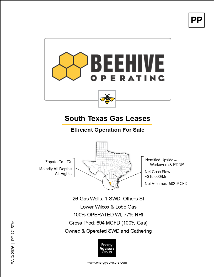 SOUTH TEXAS ASSET FOR SALE